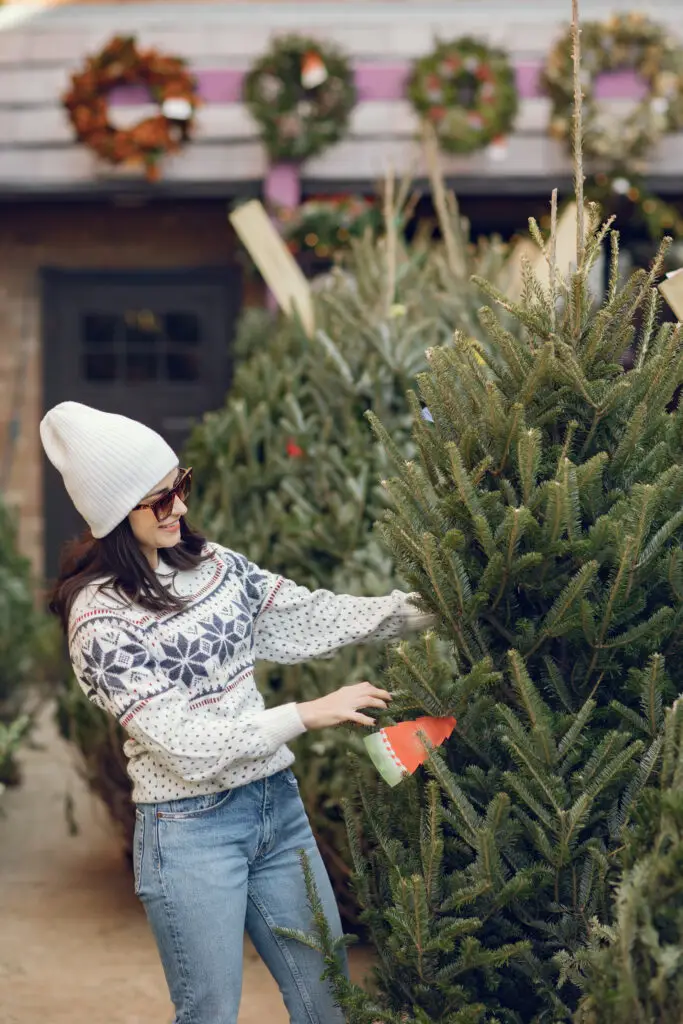 Tips on Choosing a Fresh Christmas Tree