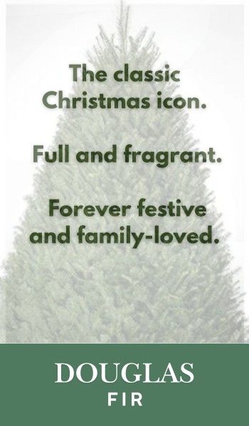 Douglas Fir Christmas Tree